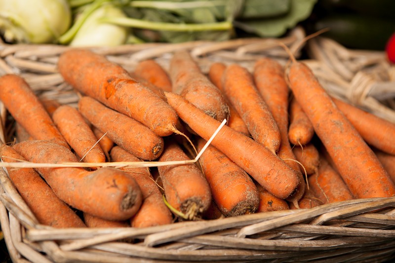 carottes-des-sables