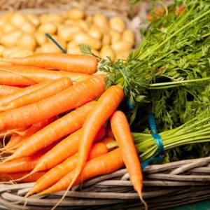 carotte-fane-ou-botte