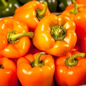 poivron-orange