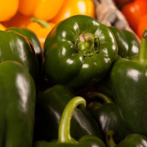 poivron-vert