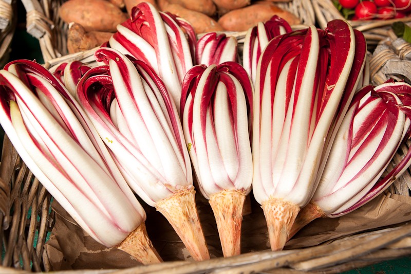 radicchio-rosso