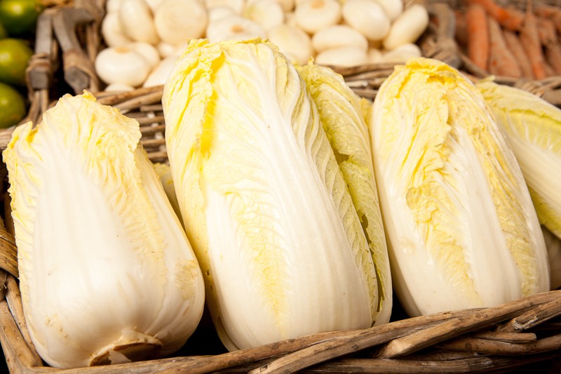 Choux chinois / Pe-Tsaï