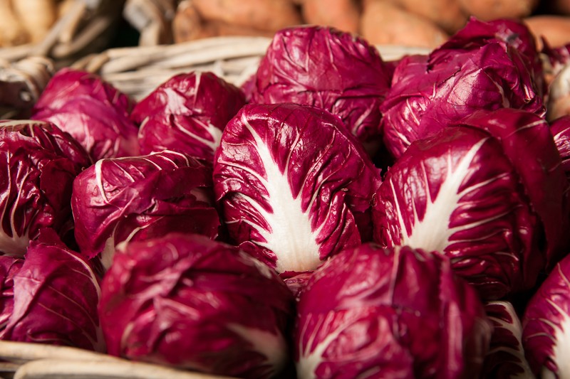 chicoree-rouge-de-verone