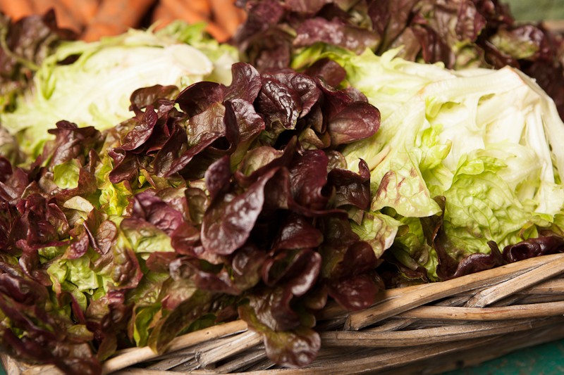 feuille-de-chene-brune