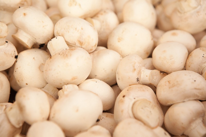 champignon-de-paris