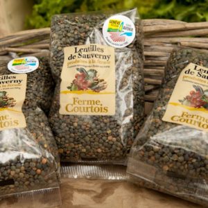 lentilles