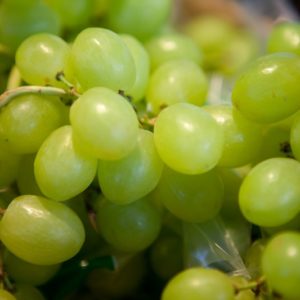 raisin-sans-pepin-blanc