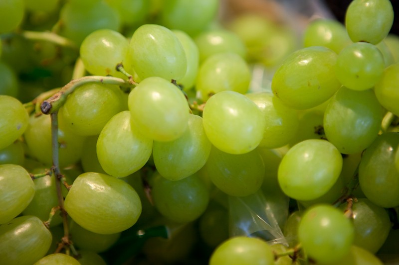 raisin-sans-pepin-blanc