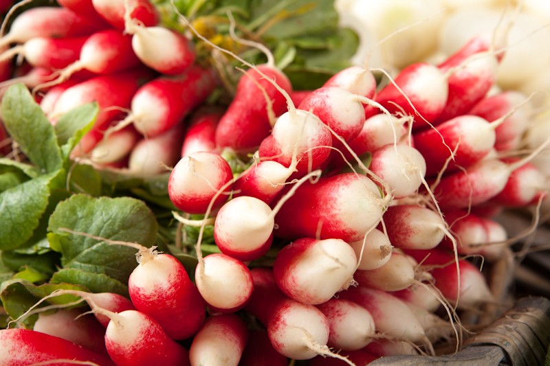 radis-rouge-et-blanc