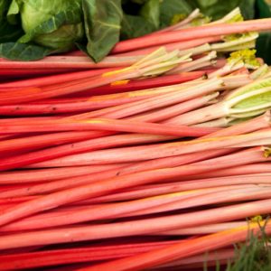 rhubarbe
