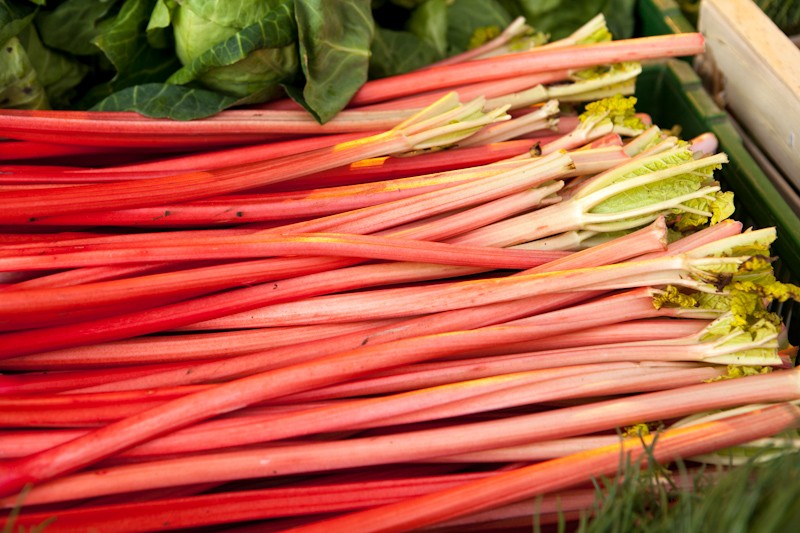 rhubarbe
