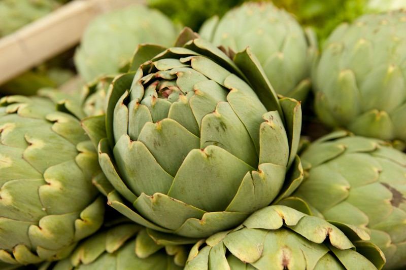 artichaut-breton