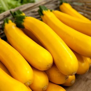 courgette-jaune