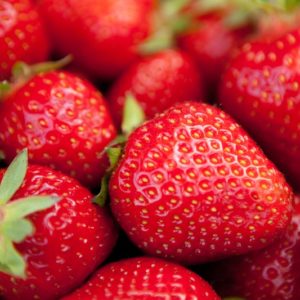 fraise-mara-des-bois