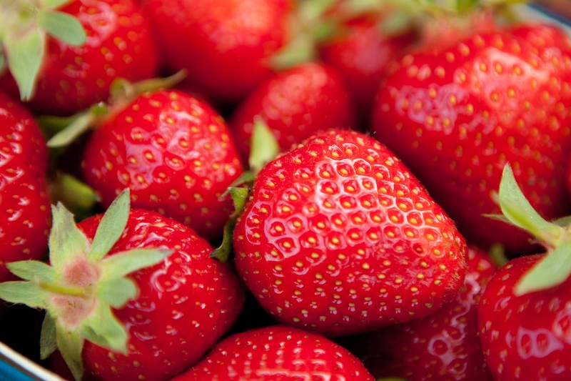 fraise-mara-des-bois