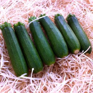 mini-courgette