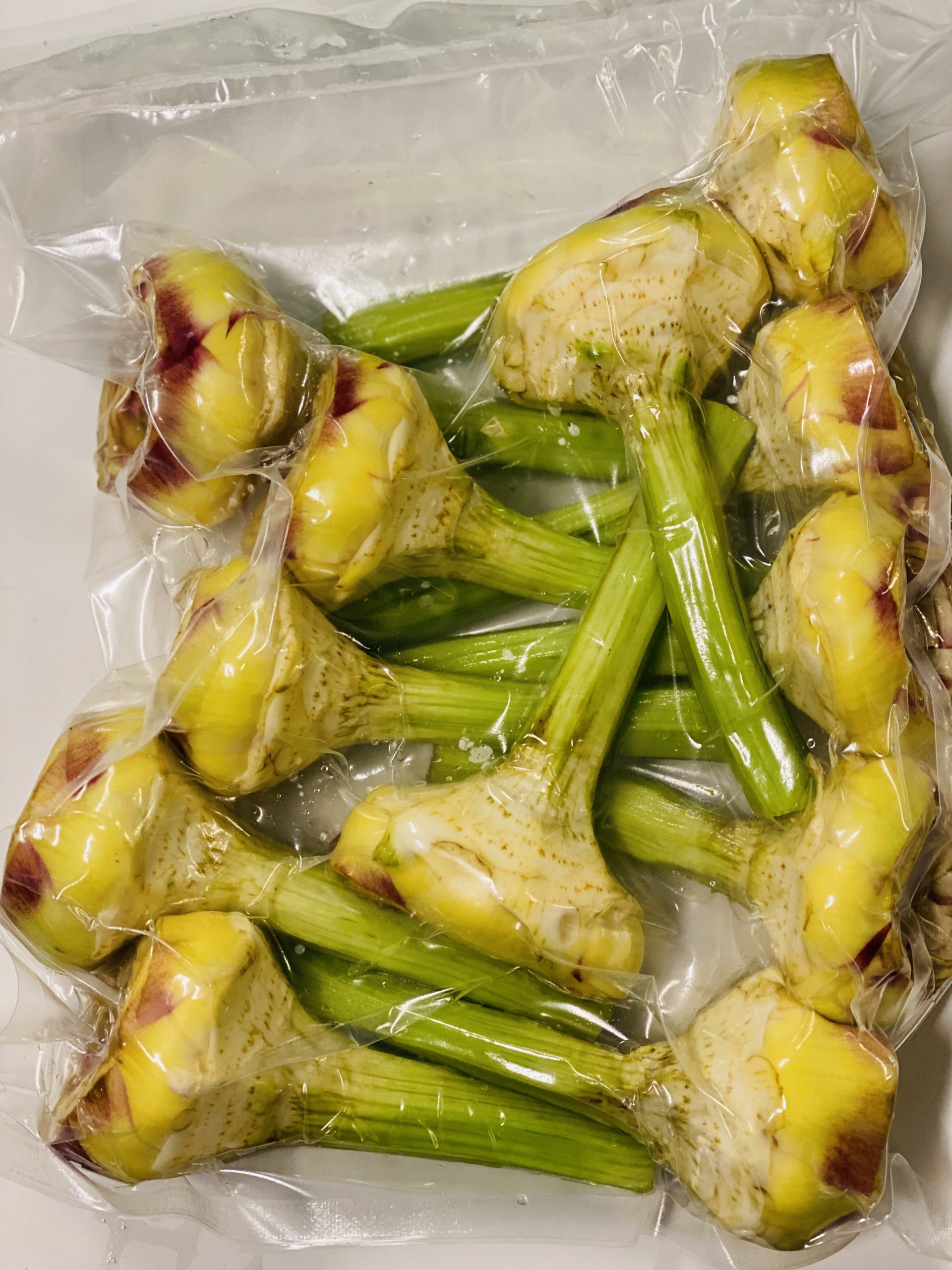 Fond d'artichaut petit