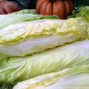 chicoree-pain-de-sucre