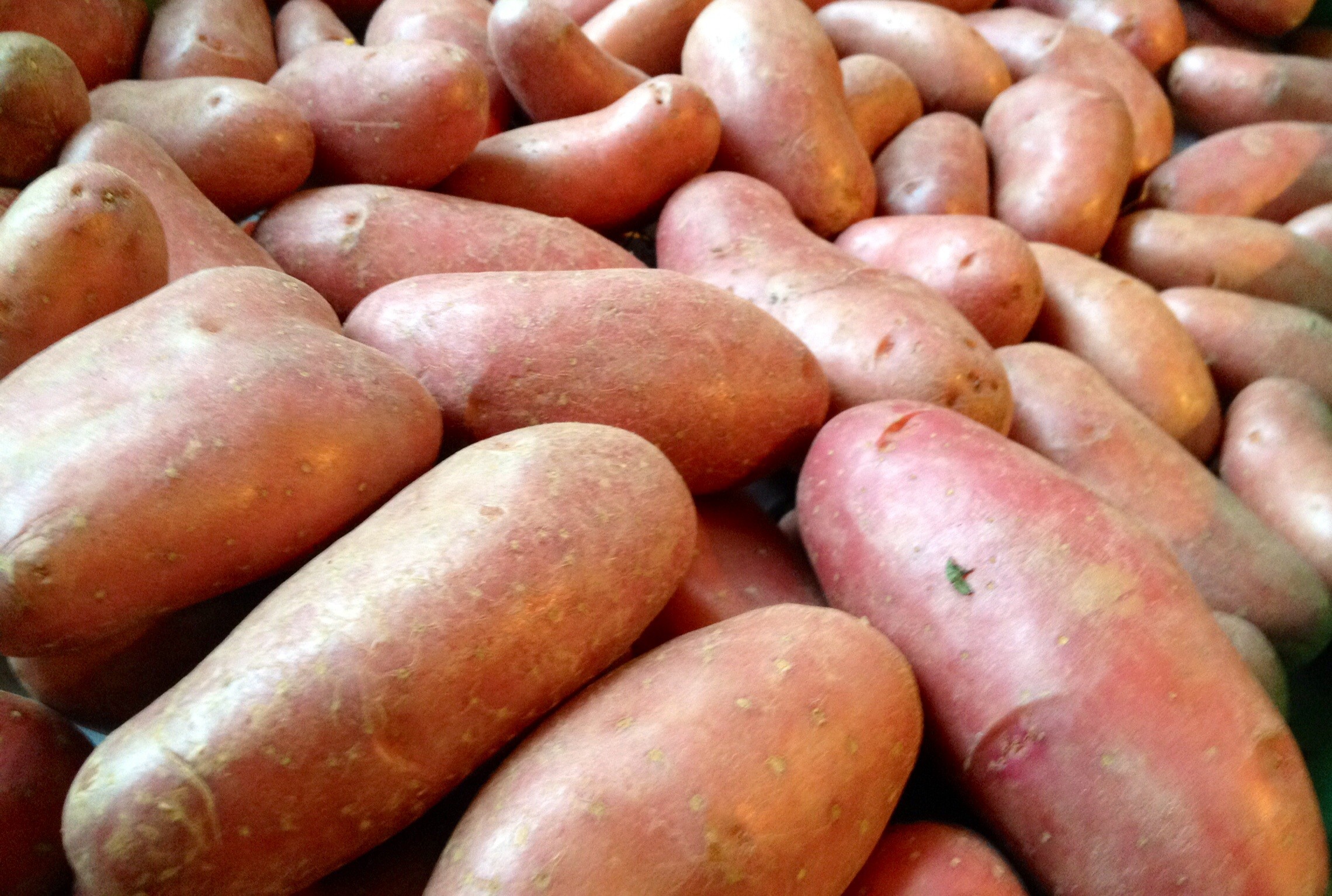 pomme-de-terre-rouge-cherie