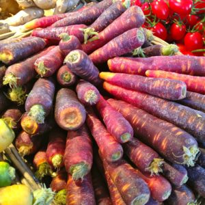 carotte-violette