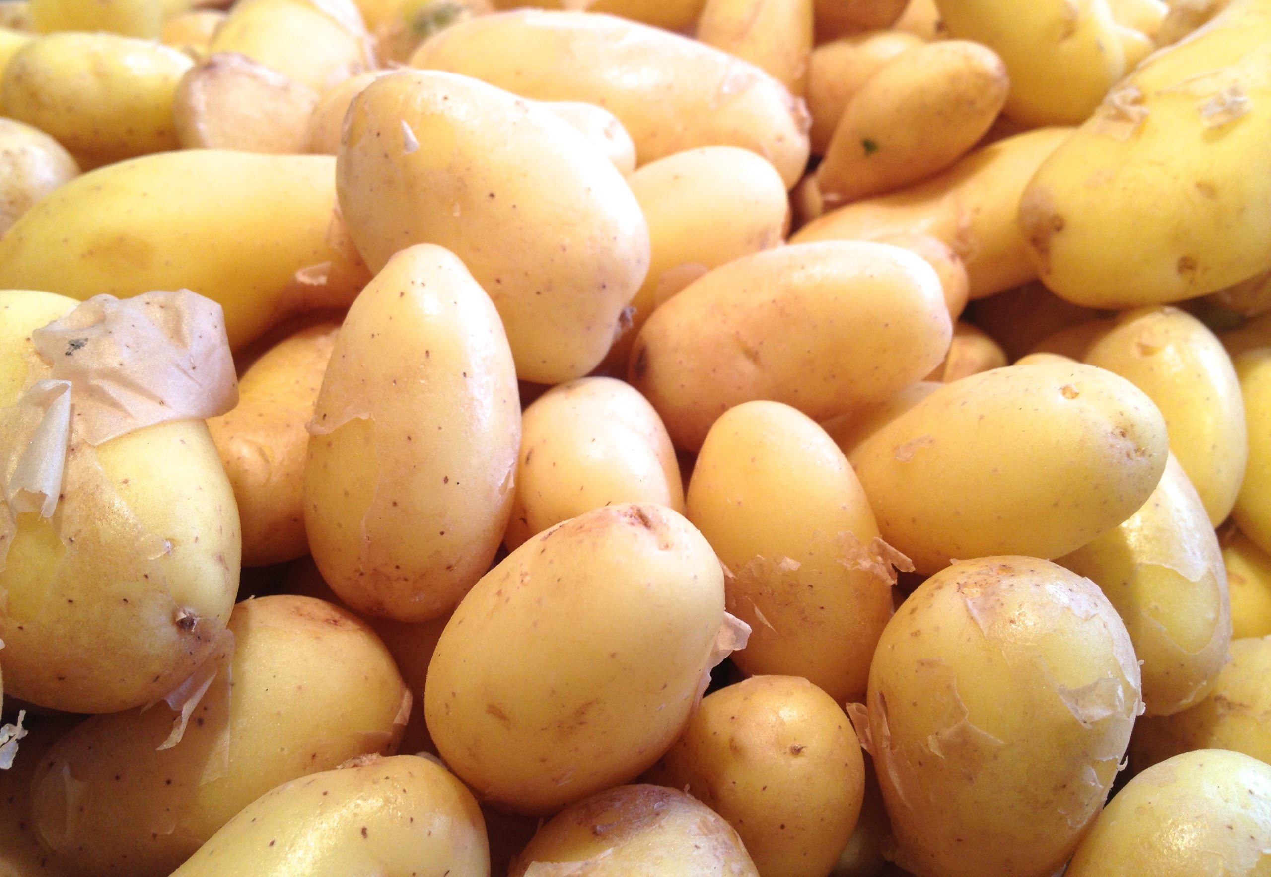 pomme-de-terre-delicatesse