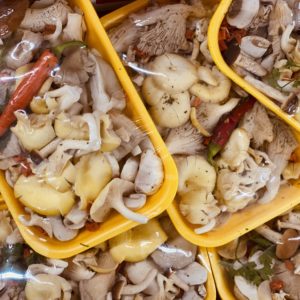 Mélange de champignons