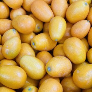 Kumquat