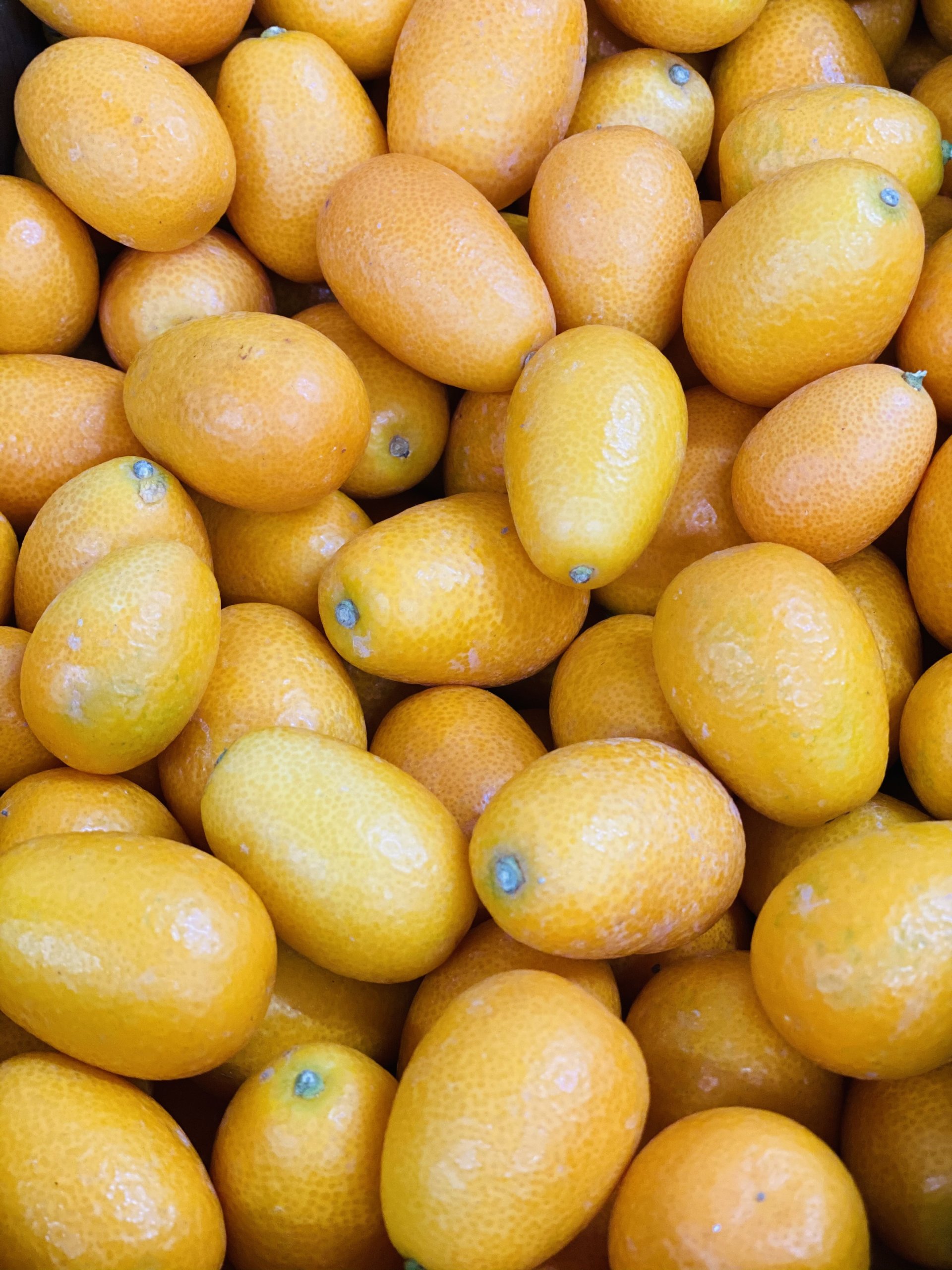 Kumquat